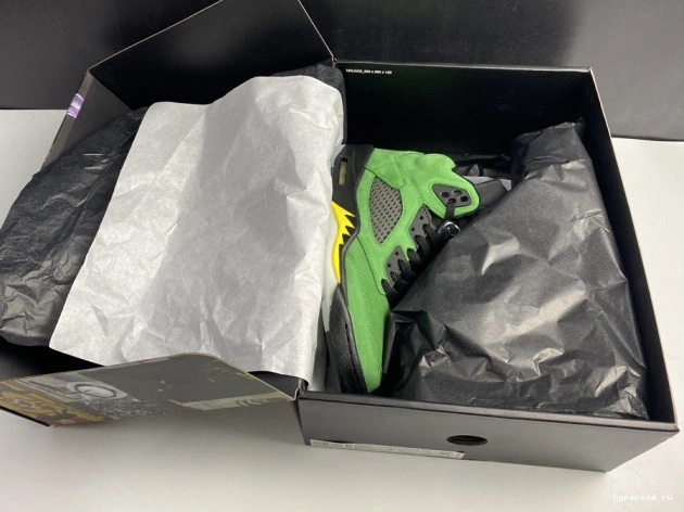 Oregon 5 SE CK6631-307 Air Jordan Ducks 1018